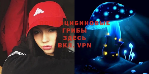 винт Баксан