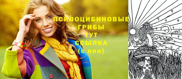 ГАЛЛЮЦИНОГЕННЫЕ ГРИБЫ Балахна