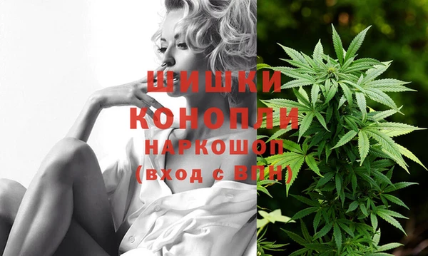 ГАЛЛЮЦИНОГЕННЫЕ ГРИБЫ Балахна