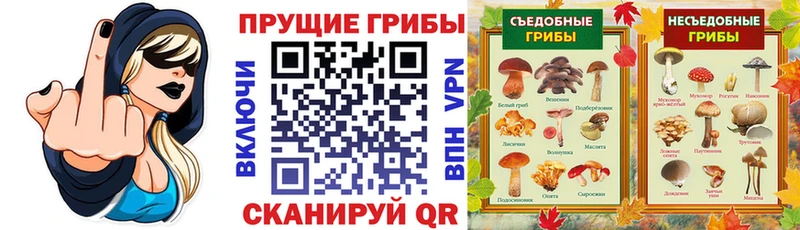 закладка  Спас-Клепики  omg tor  Псилоцибиновые грибы MAGIC MUSHROOMS 